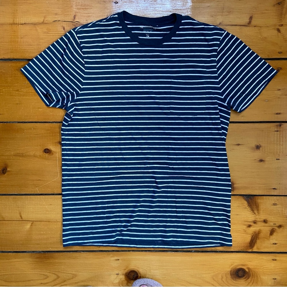 J. Crew Mercantile Men's Short Sleeve Blue Stripe Tee Shirt - Size Large Slim